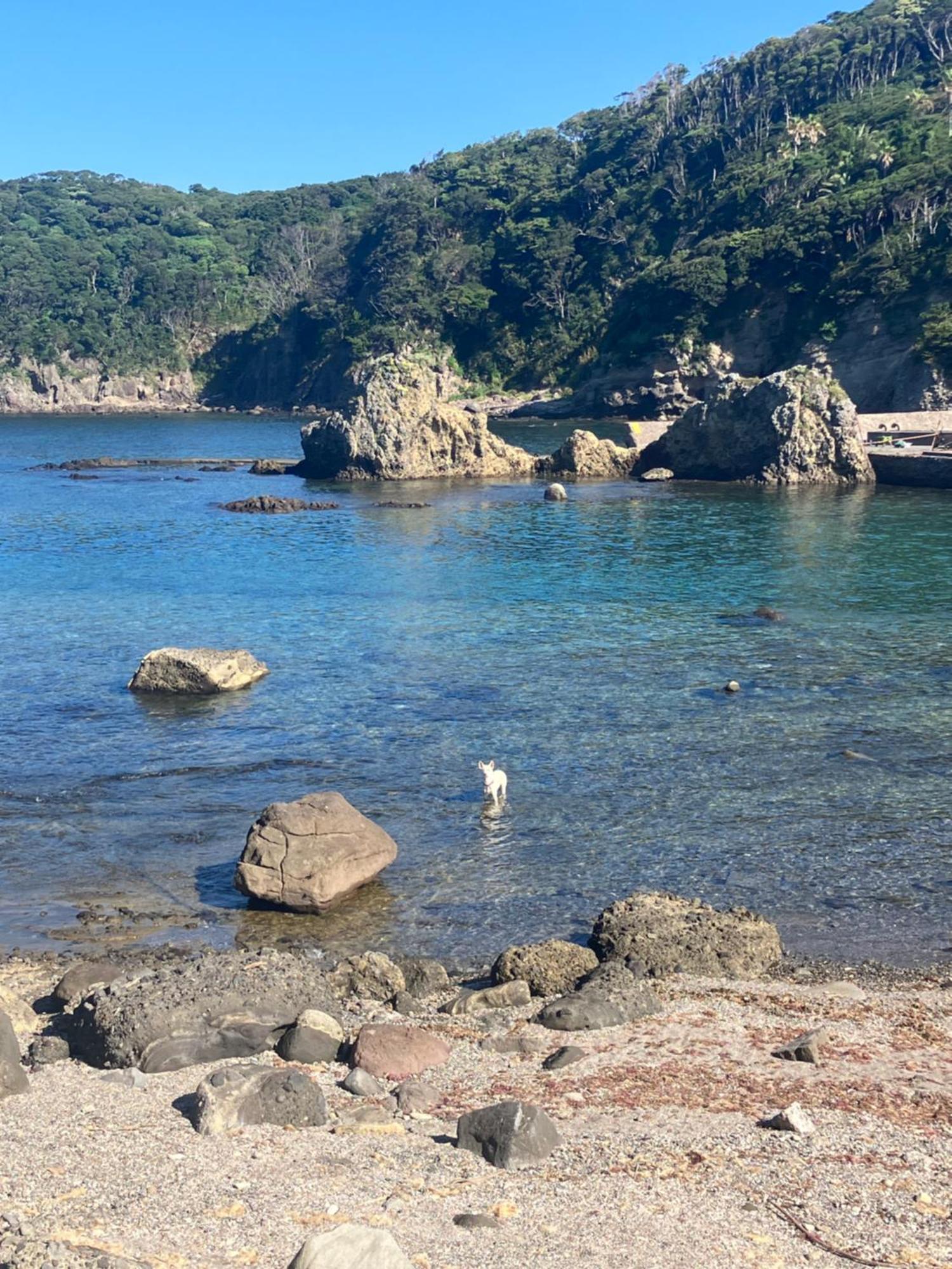 貸別荘吉佐美苑 Shimoda  Exteriör bild