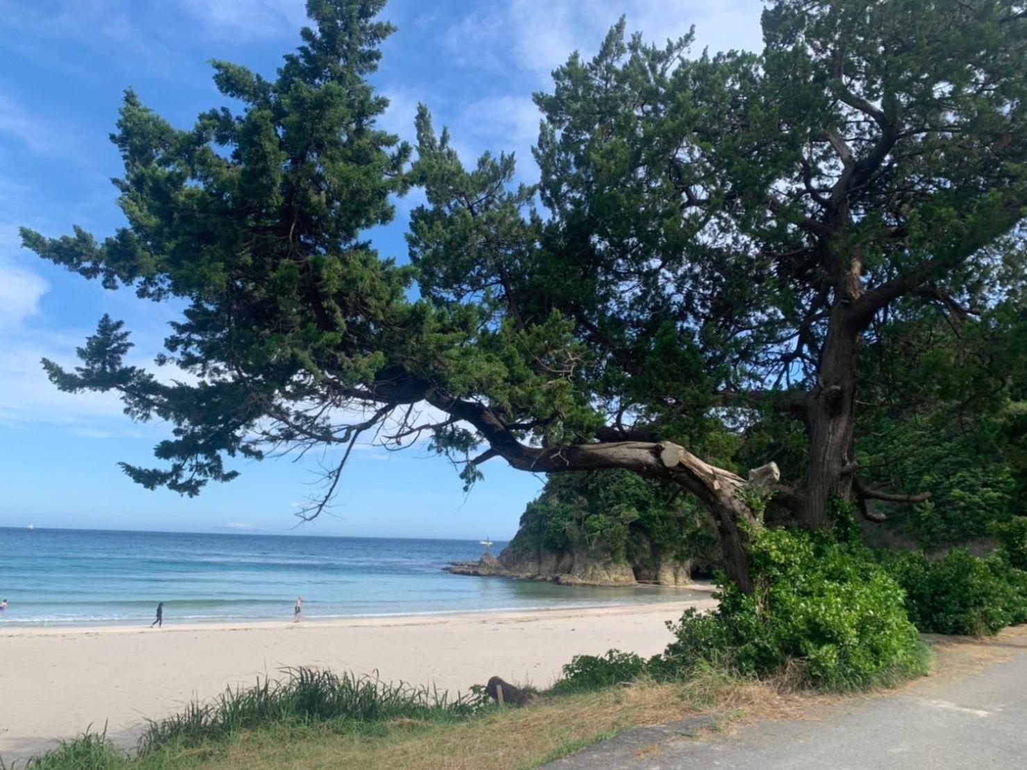 貸別荘吉佐美苑 Shimoda  Exteriör bild